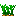 Carottes