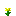 Fleurs jaunes