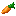 Carottes