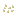 Graines de citrouille